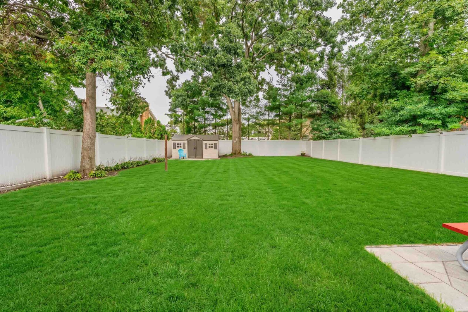 backyard1 backyard1