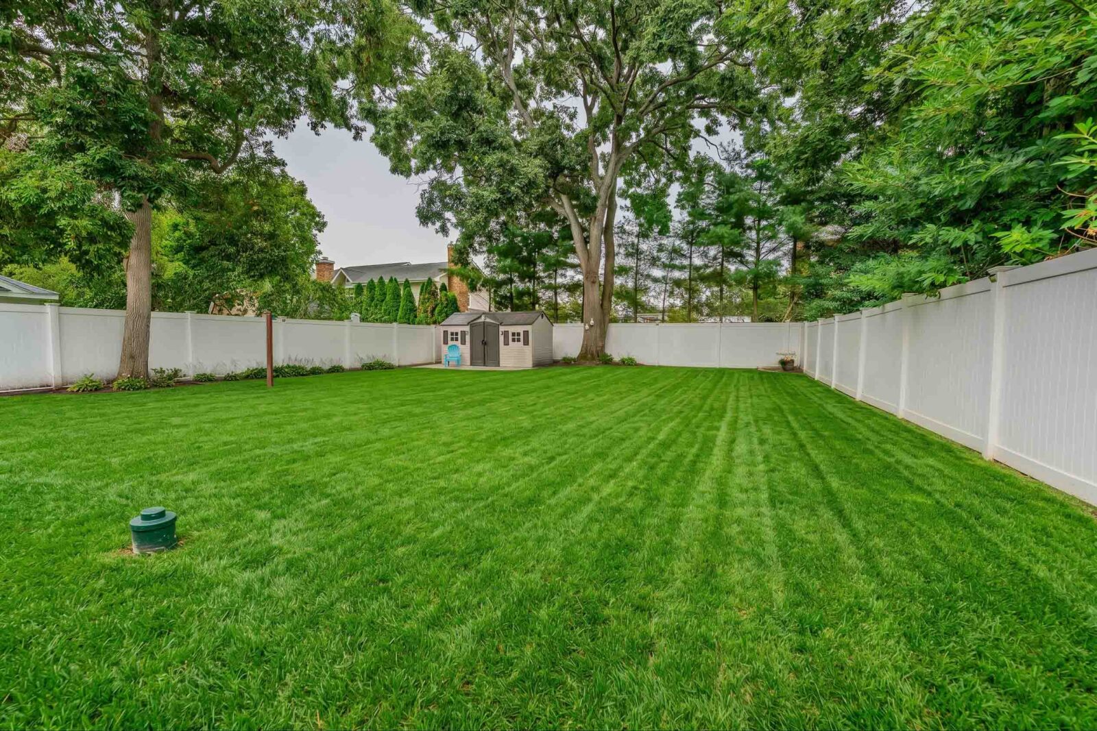 backyard2 backyard2